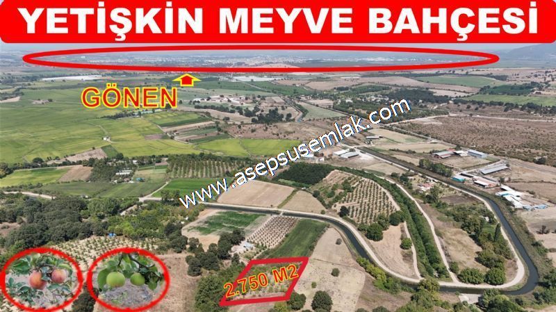 2.750 m2 Yetişkin Meyve Bahçesi Hobi Bahçesi Bağ-Bahçe Güneşli