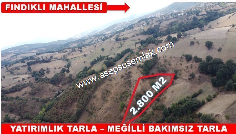 2.800 m2 Yatırımlık Tarla Bağ-Bahçe Resmi Kadastro Yolu Yoktur.