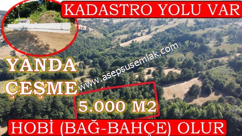 5.000 m2 Resmi Kadastro Yola & Orman Cepheli Hobi Bağ-Bahçesi