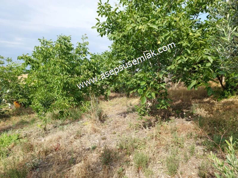 831 M2 KADASTRO YOLLU BAHÇE - 20