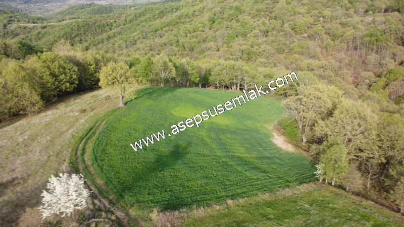 4.322 m2 Gönen Yatırımlık Tarla Bağ Bahçe Hobi Bahçesi Orman Var - 8