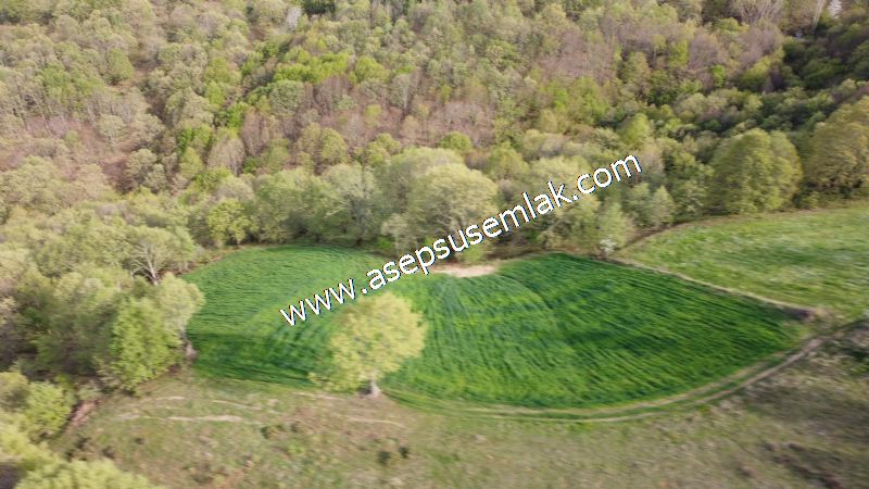 4.322 m2 Gönen Yatırımlık Tarla Bağ Bahçe Hobi Bahçesi Orman Var - 15