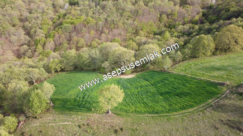 4.322 m2 Gönen Yatırımlık Tarla Bağ Bahçe Hobi Bahçesi Orman Var - 16