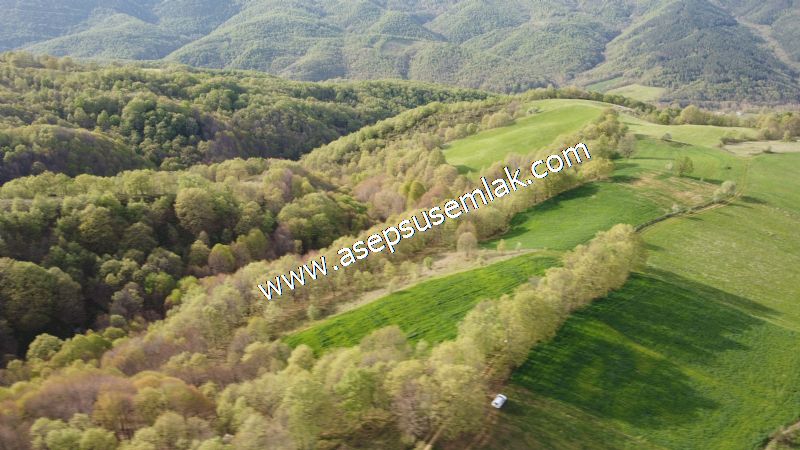 3.507 m2 Gönen Resmi Yolu Var Yatırımlık Bağ Bahçe Hobi Bahçesi - 24