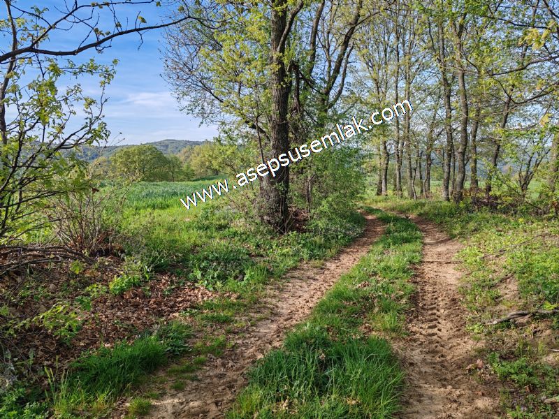 3.507 m2 Gönen Resmi Yolu Var Yatırımlık Bağ Bahçe Hobi Bahçesi - 61