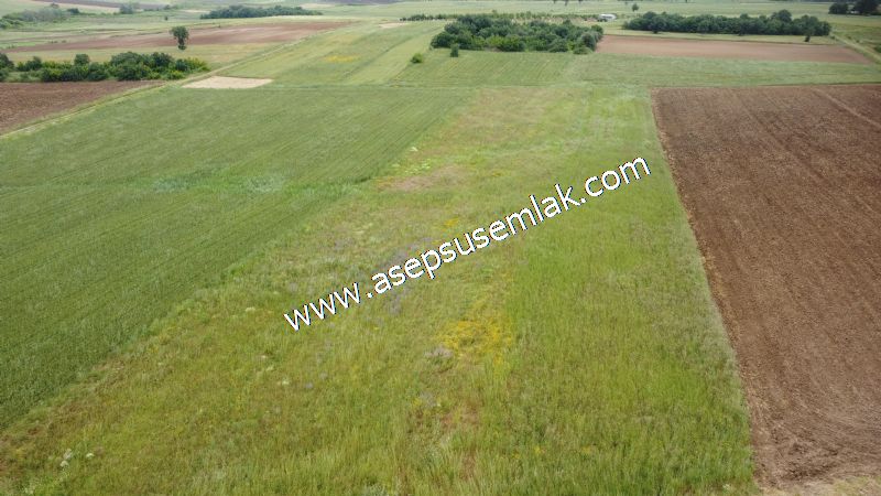 3.843 m2 Yatırımlık Meyve Hobi Bahçesi Bağ-Bahçe Tarla Su Yol Var - 3