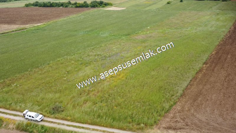 3.843 m2 Yatırımlık Meyve Hobi Bahçesi Bağ-Bahçe Tarla Su Yol Var - 5