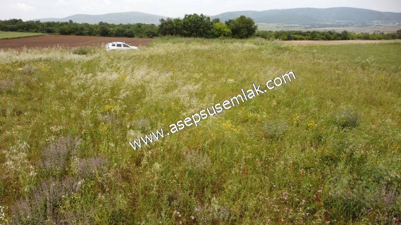 3.843 m2 Yatırımlık Meyve Hobi Bahçesi Bağ-Bahçe Tarla Su Yol Var - 37