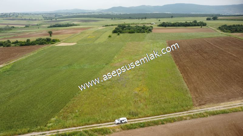 3.843 m2 Yatırımlık Meyve Hobi Bahçesi Bağ-Bahçe Tarla Su Yol Var - 45