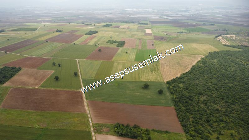 3.843 m2 Yatırımlık Meyve Hobi Bahçesi Bağ-Bahçe Tarla Su Yol Var - 51