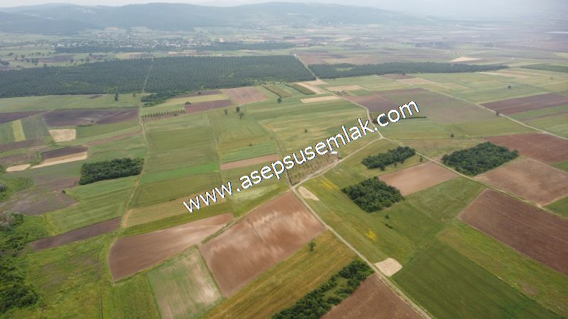 3.843 m2 Yatırımlık Meyve Hobi Bahçesi Bağ-Bahçe Tarla Su Yol Var - 55