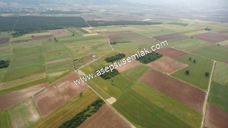 3.843 m2 Yatırımlık Meyve Hobi Bahçesi Bağ-Bahçe Tarla Su Yol Var - 58