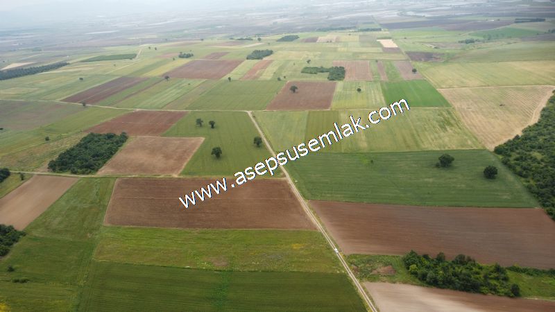 3.843 m2 Yatırımlık Meyve Hobi Bahçesi Bağ-Bahçe Tarla Su Yol Var - 63