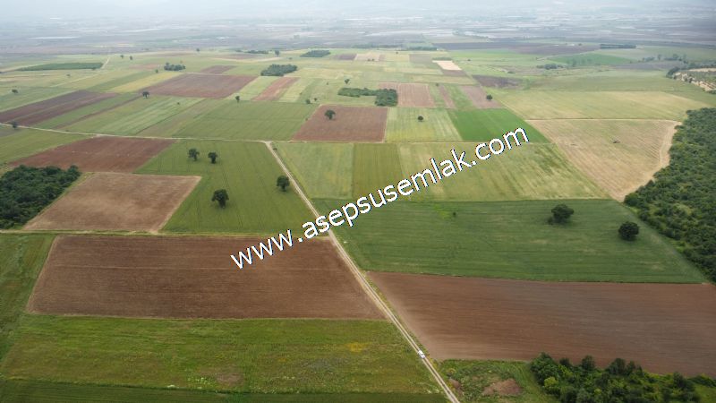 3.843 m2 Yatırımlık Meyve Hobi Bahçesi Bağ-Bahçe Tarla Su Yol Var - 64