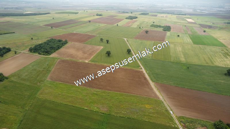 3.843 m2 Yatırımlık Meyve Hobi Bahçesi Bağ-Bahçe Tarla Su Yol Var - 67