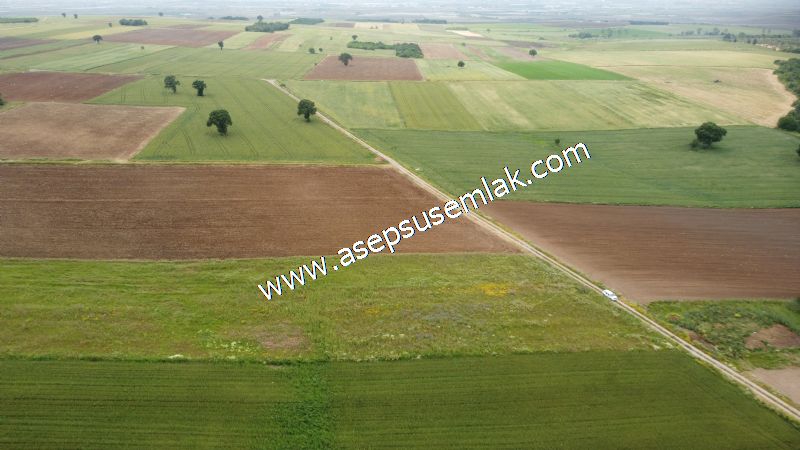 3.843 m2 Yatırımlık Meyve Hobi Bahçesi Bağ-Bahçe Tarla Su Yol Var - 70