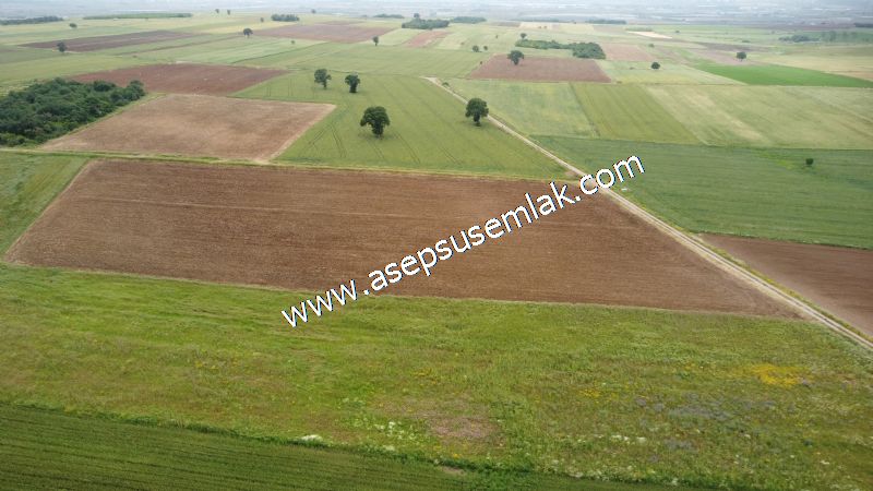 3.843 m2 Yatırımlık Meyve Hobi Bahçesi Bağ-Bahçe Tarla Su Yol Var - 71