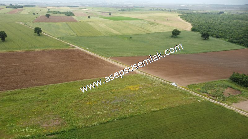 3.843 m2 Yatırımlık Meyve Hobi Bahçesi Bağ-Bahçe Tarla Su Yol Var - 72