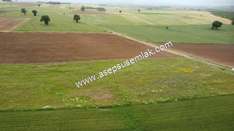 3.843 m2 Yatırımlık Meyve Hobi Bahçesi Bağ-Bahçe Tarla Su Yol Var - 74