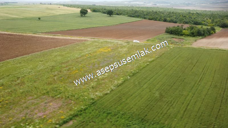 3.843 m2 Yatırımlık Meyve Hobi Bahçesi Bağ-Bahçe Tarla Su Yol Var - 75