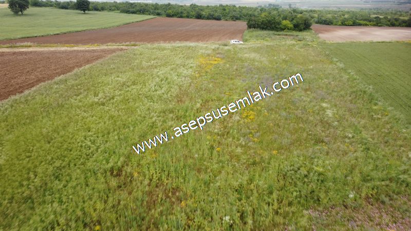 3.843 m2 Yatırımlık Meyve Hobi Bahçesi Bağ-Bahçe Tarla Su Yol Var - 77