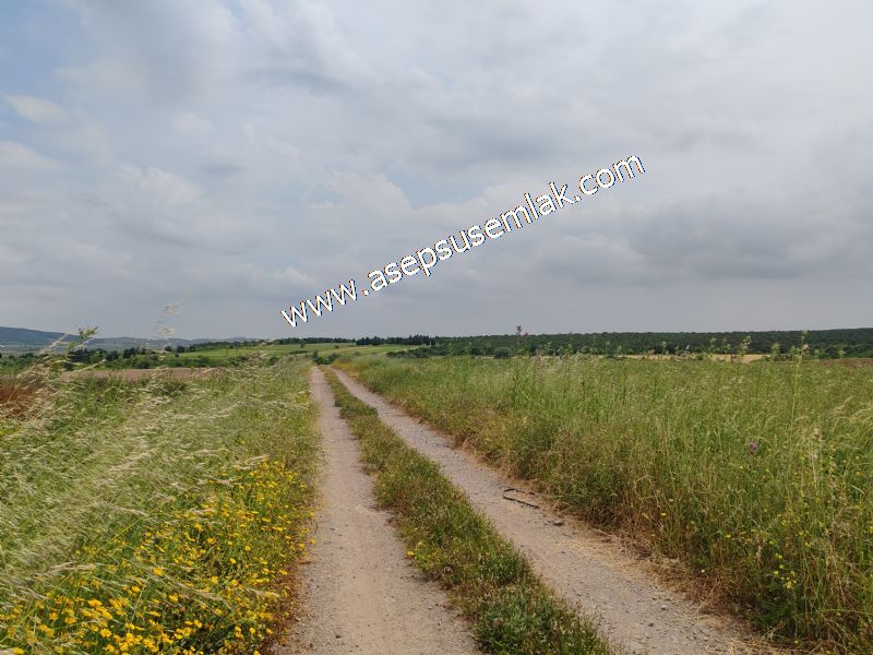 3.843 m2 Yatırımlık Meyve Hobi Bahçesi Bağ-Bahçe Tarla Su Yol Var - 86