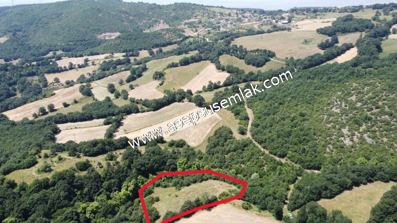 2.786 m2 Yatırımlık Tarla Bağ-Bahçe Resmi Kadastro Yolu Yoktur. - 35