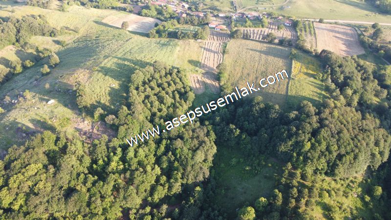 6.300 m2 Köy'e Yakın Yatırımlık Tarla Bağ-Bahçe Özel Yol var - 10