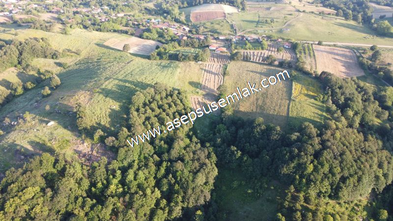 6.300 m2 Köy'e Yakın Yatırımlık Tarla Bağ-Bahçe Özel Yol var - 13