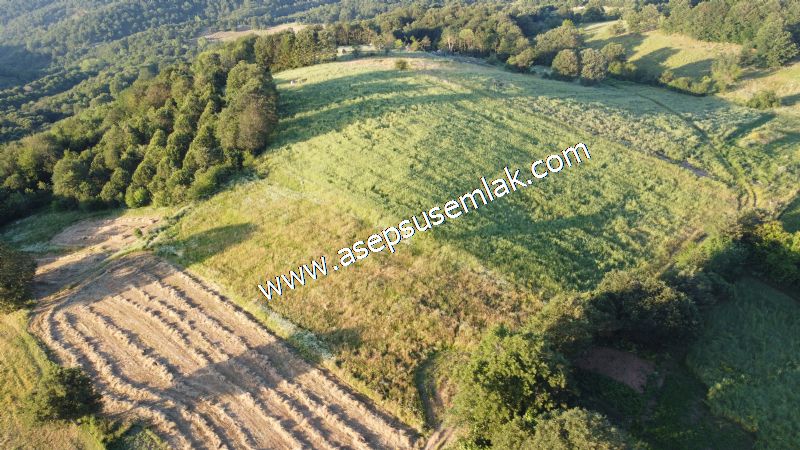 6.300 m2 Köy'e Yakın Yatırımlık Tarla Bağ-Bahçe Özel Yol var - 17