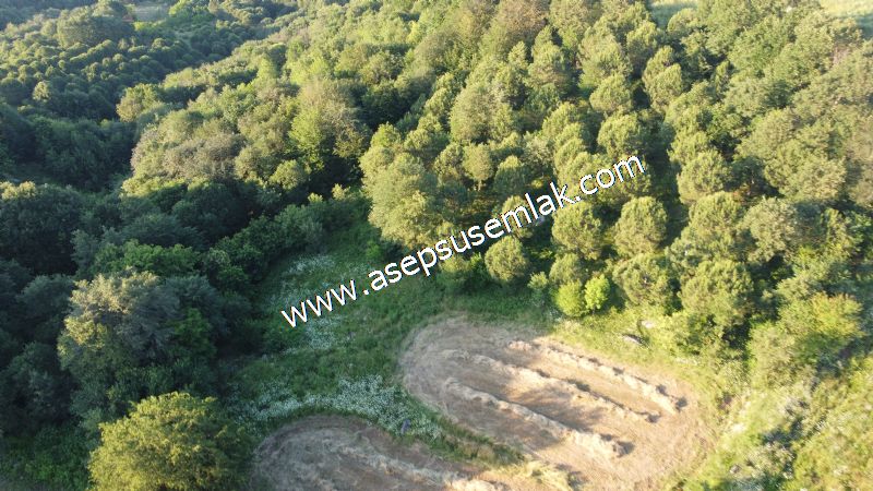 6.300 m2 Köy'e Yakın Yatırımlık Tarla Bağ-Bahçe Özel Yol var - 22