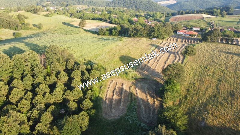 6.300 m2 Köy'e Yakın Yatırımlık Tarla Bağ-Bahçe Özel Yol var - 24