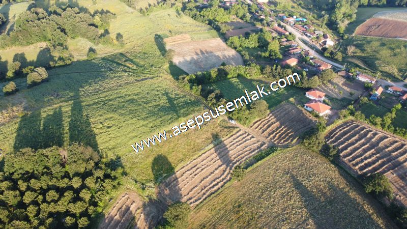 6.300 m2 Köy'e Yakın Yatırımlık Tarla Bağ-Bahçe Özel Yol var - 43