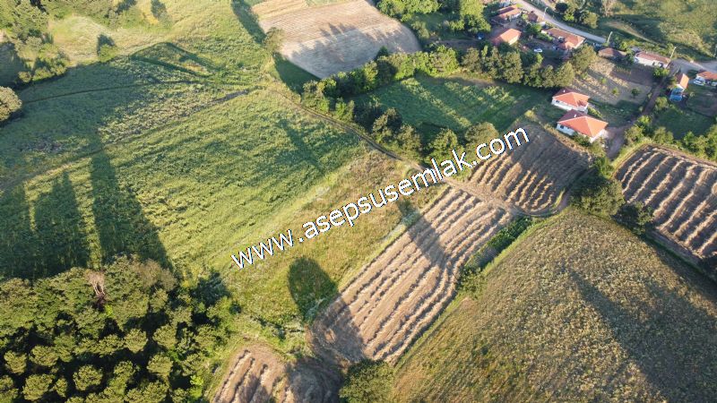 6.300 m2 Köy'e Yakın Yatırımlık Tarla Bağ-Bahçe Özel Yol var - 45