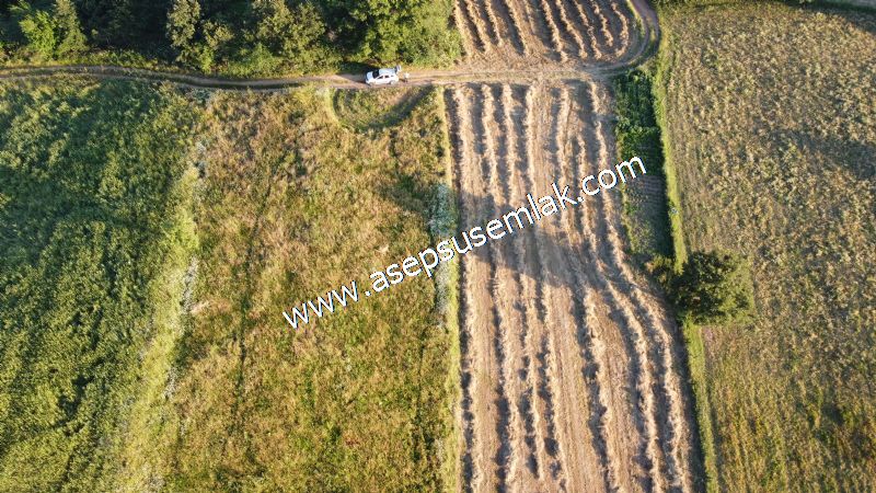 6.300 m2 Köy'e Yakın Yatırımlık Tarla Bağ-Bahçe Özel Yol var - 52