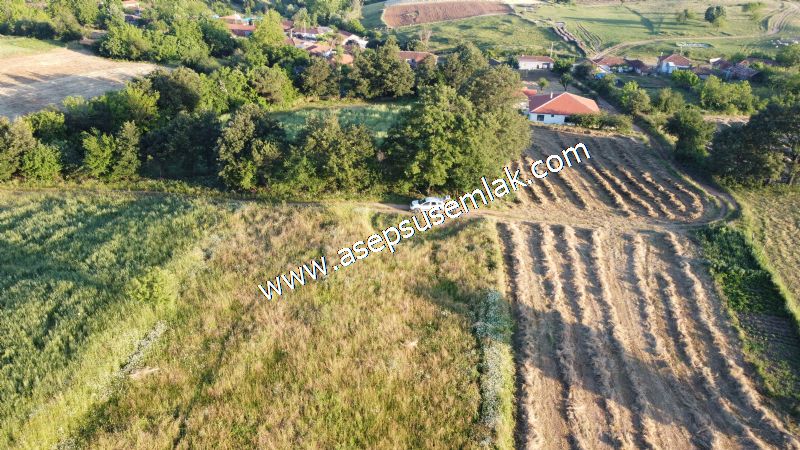 6.300 m2 Köy'e Yakın Yatırımlık Tarla Bağ-Bahçe Özel Yol var - 55