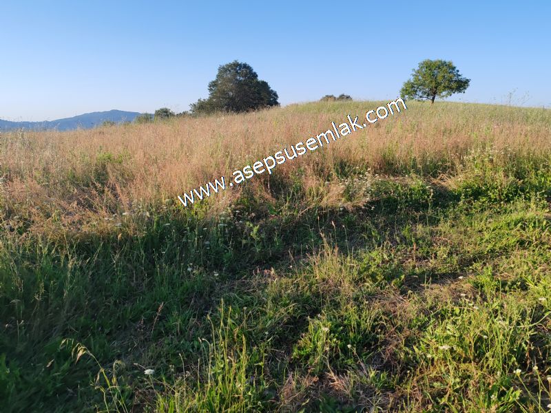 6.300 m2 Köy'e Yakın Yatırımlık Tarla Bağ-Bahçe Özel Yol var - 59