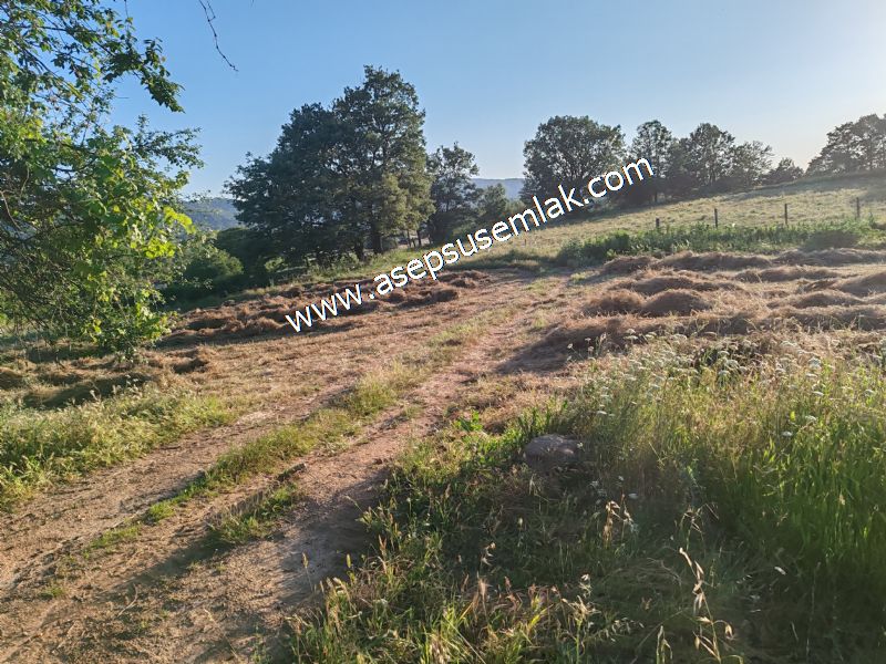 6.300 m2 Köy'e Yakın Yatırımlık Tarla Bağ-Bahçe Özel Yol var - 64