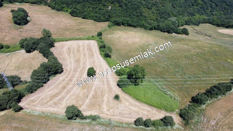 10.008 m2 Yatırımlık Tarla Bağ-Bahçe Su Çeşme Var. Yolu Yok. - 10