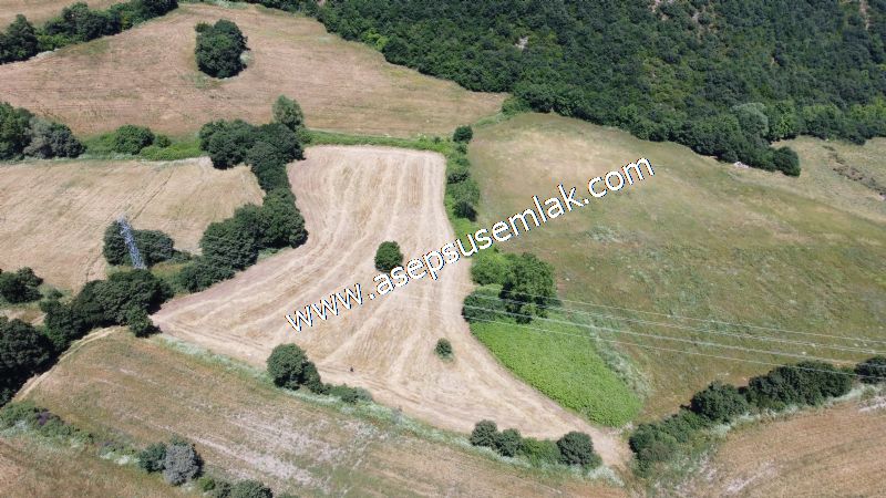 10.008 m2 Yatırımlık Tarla Bağ-Bahçe Su Çeşme Var. Yolu Yok. - 11