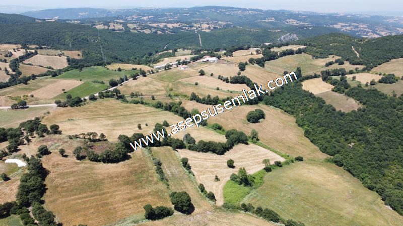 10.008 m2 Yatırımlık Tarla Bağ-Bahçe Su Çeşme Var. Yolu Yok. - 19