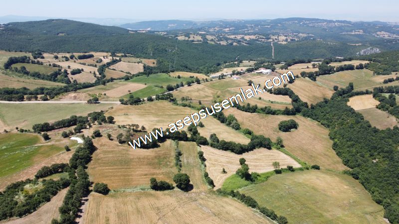 10.008 m2 Yatırımlık Tarla Bağ-Bahçe Su Çeşme Var. Yolu Yok. - 22