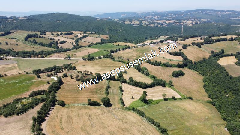 10.008 m2 Yatırımlık Tarla Bağ-Bahçe Su Çeşme Var. Yolu Yok. - 25