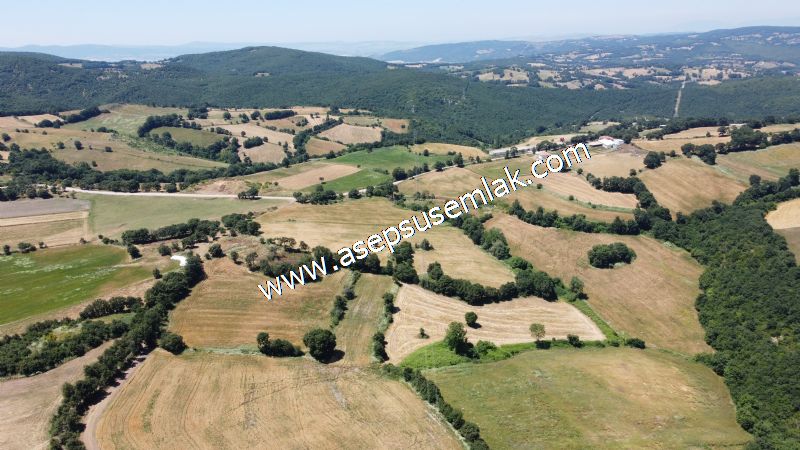 10.008 m2 Yatırımlık Tarla Bağ-Bahçe Su Çeşme Var. Yolu Yok. - 27