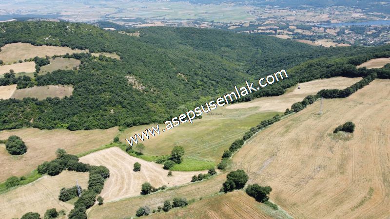 10.008 m2 Yatırımlık Tarla Bağ-Bahçe Su Çeşme Var. Yolu Yok. - 31