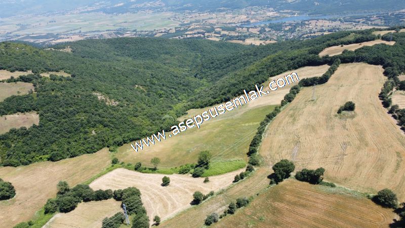 10.008 m2 Yatırımlık Tarla Bağ-Bahçe Su Çeşme Var. Yolu Yok. - 34