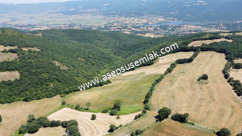 10.008 m2 Yatırımlık Tarla Bağ-Bahçe Su Çeşme Var. Yolu Yok. - 36