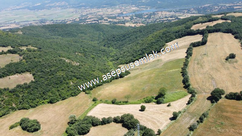 10.008 m2 Yatırımlık Tarla Bağ-Bahçe Su Çeşme Var. Yolu Yok. - 37