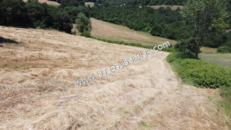 10.008 m2 Yatırımlık Tarla Bağ-Bahçe Su Çeşme Var. Yolu Yok. - 40