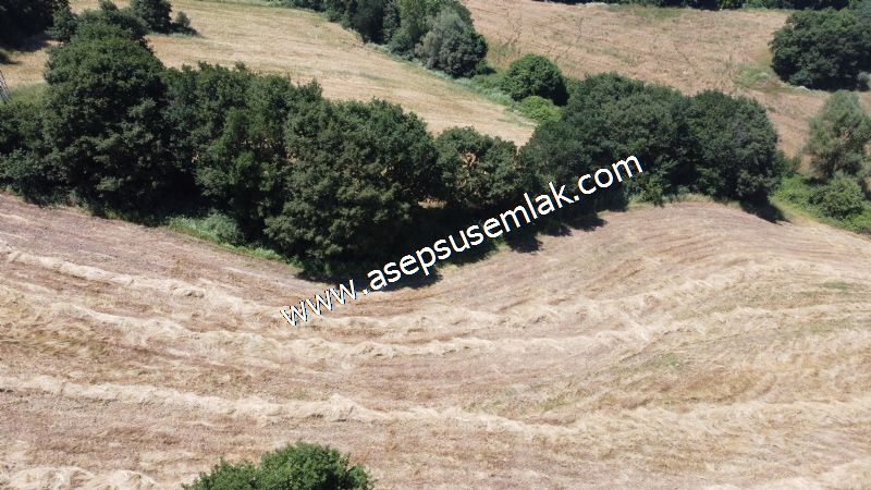 10.008 m2 Yatırımlık Tarla Bağ-Bahçe Su Çeşme Var. Yolu Yok. - 50